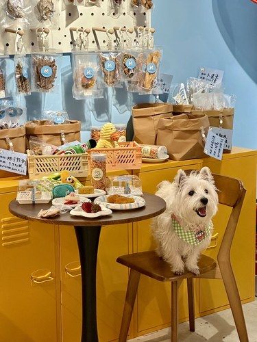 重庆终于也有了！宠物食品专门店！！！