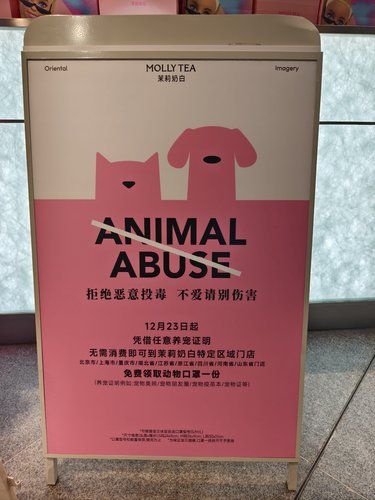 爱护狗狗