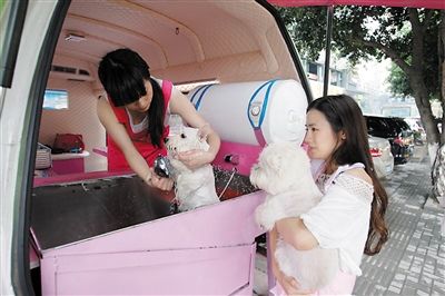“移动宠物美容院”的工作人员给狗狗洗澡。