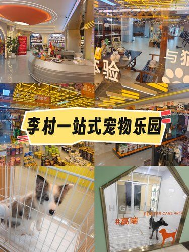李村惊现超萌宠物天地，一站式宠爱乐园