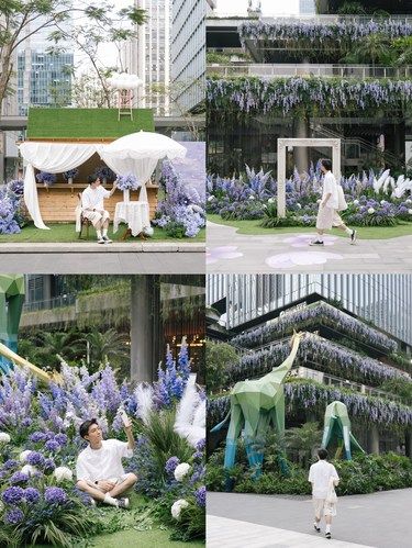 广州新展｜好美！闯进莫奈油画里的浪漫花海