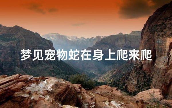 梦见宠物蛇在身上爬来爬去,梦见宠物蛇在床上是什么意思
