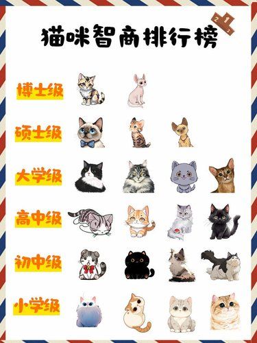 猫届智商大揭秘！你家宝贝排第几