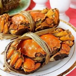 2021宠物运输）龙岩宠物托运 宠物托运资讯