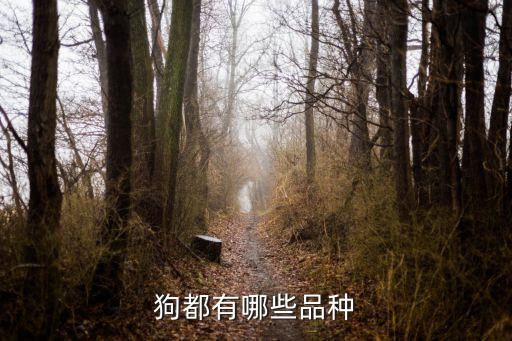 狗都有哪些品种