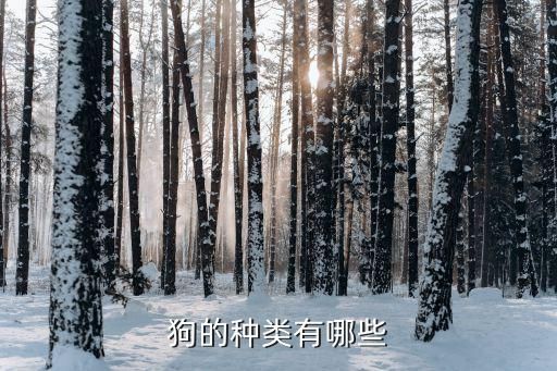 狗的种类有哪些