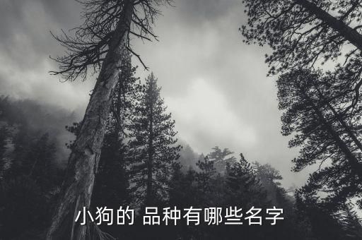 小狗的 品种有哪些名字