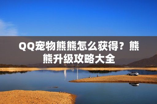 QQ宠物熊熊怎么获得？熊熊升级攻略大全-第1张图片