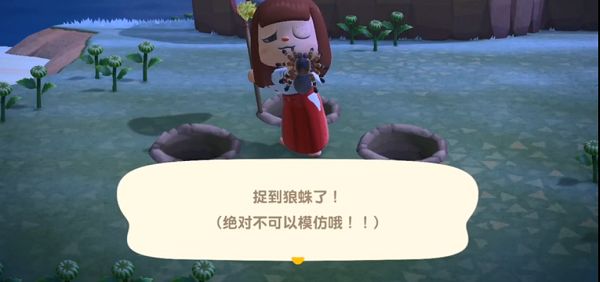 《动物森友》会狼蛛怎么抓