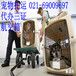上海宠物物流上海宠物托运公司哪家好