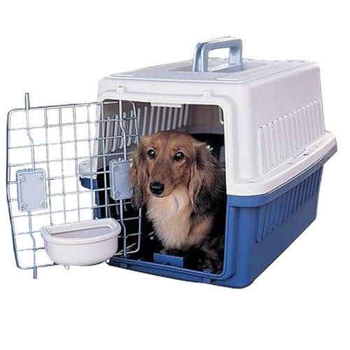 服务用心，注重效率 东莞宠物猫狗托运，本地活体托运