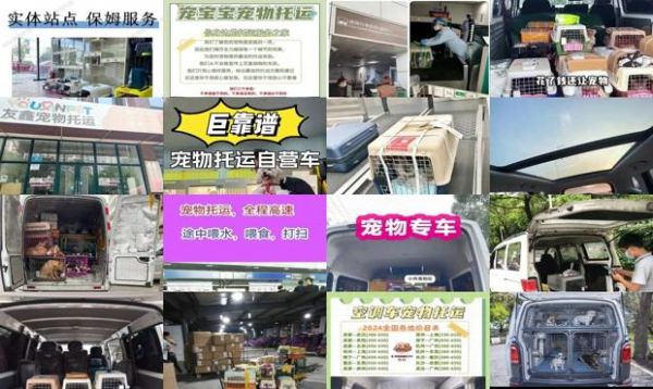 东莞宠物托运