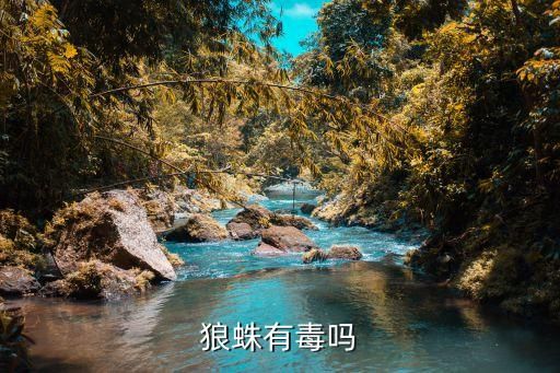 狼蛛有毒吗