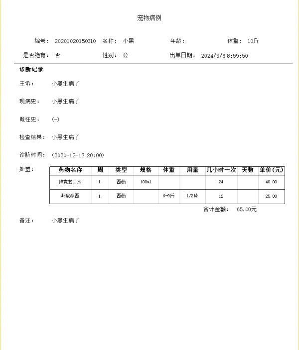 病例打印
