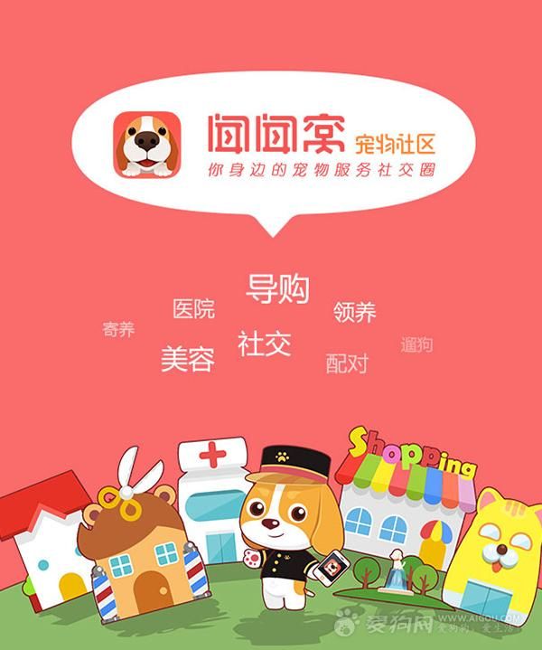 宠物市场十款主流类APP推荐及详细评测