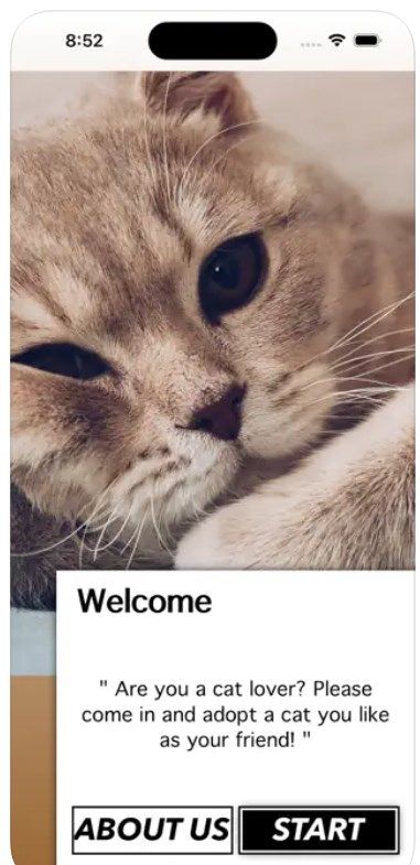爱猫物语宠物店APP 2