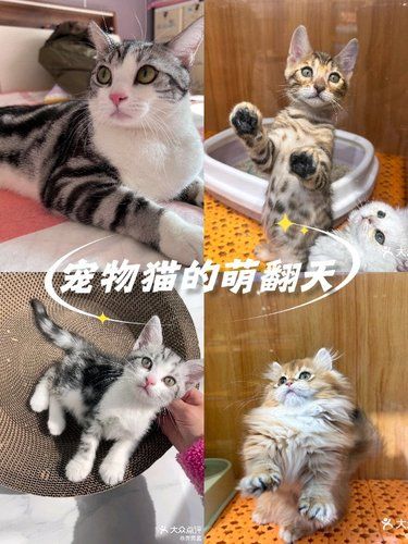家有新成员，快来看看