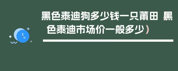 黑色泰迪狗多少钱一只莆田（黑色泰迪市场价一般多少）
