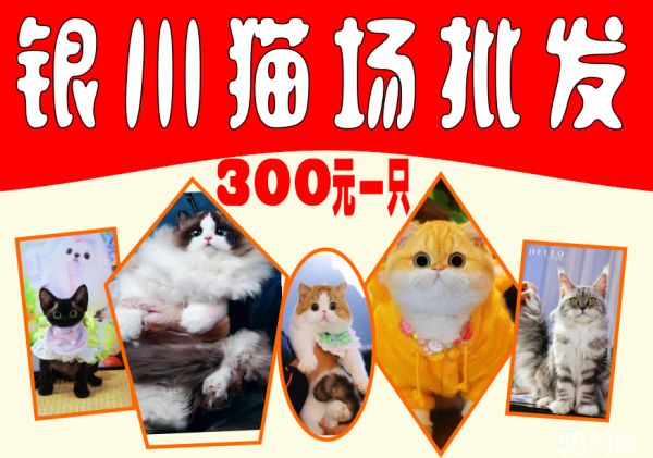 店主头像