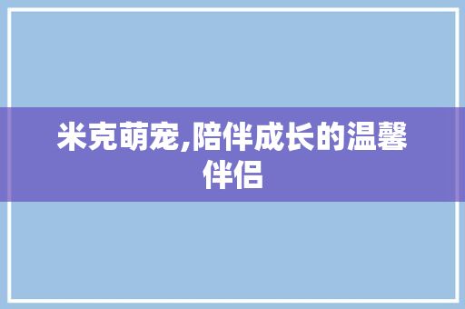 米克萌宠,陪伴成长的温馨伴侣
