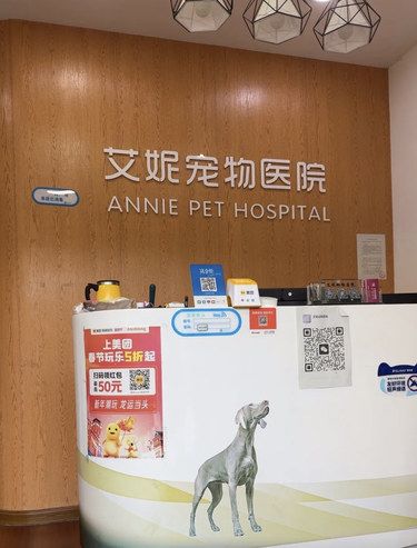 宠物医院的暖心日常，每只毛孩子都被温柔以待