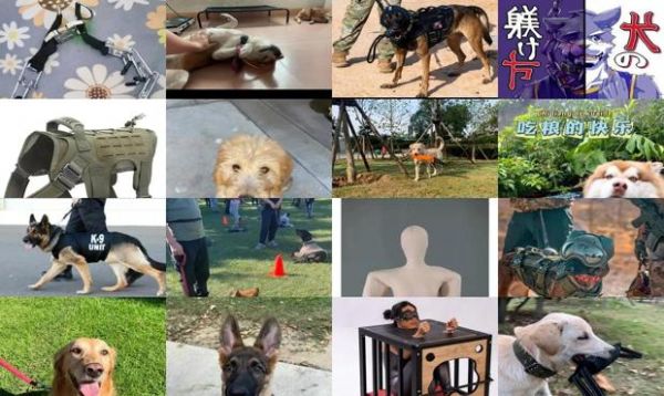k9犬奴训练方法入门