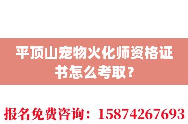 2平顶山宠物火化师资格证书怎么考取?
