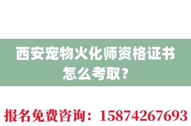 2西安宠物火化师资格证书怎么考取?