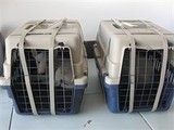焦作宠物托运公司电话 焦作宠物服务 您的宠物出行专家
