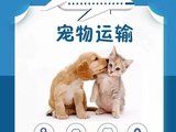 焦作猫狗运输宠物托运上门接送 空调宠物专车