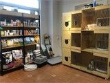 菏泽宠物服务高品质宠物寄养宠爱的选择