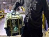 菏泽郓城顺风宠物托运-宠物托运公司电话