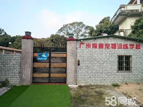 广州有素宠物服务有限公司·阳江岗侨春岗中路宠物训练学校 狗狗训犬基地 可接送