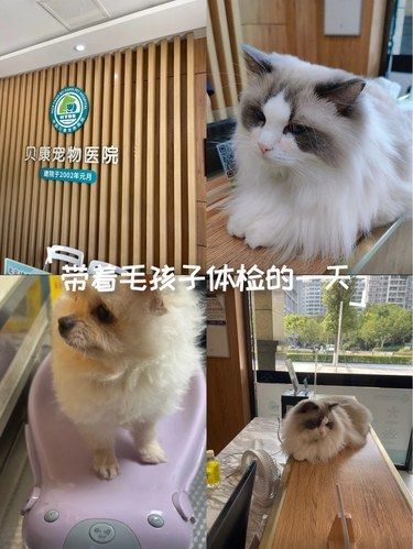 医术超赞 医心更美~