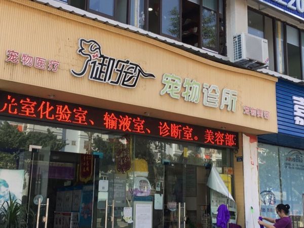 御宠宠物诊所