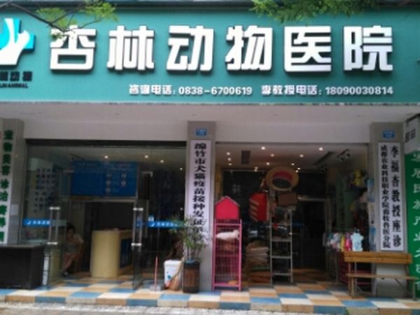 杏林动物医院