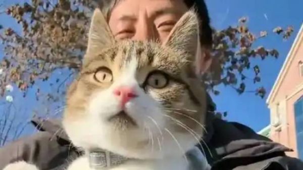 赵朔称“悟空”定位器20分钟断网 疑点重重引关注