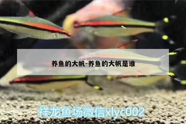 印尼三纹虎市场供需趋势预测（印尼三纹虎与泰国虎鱼区别,印尼三纹虎市场需求增长因素）