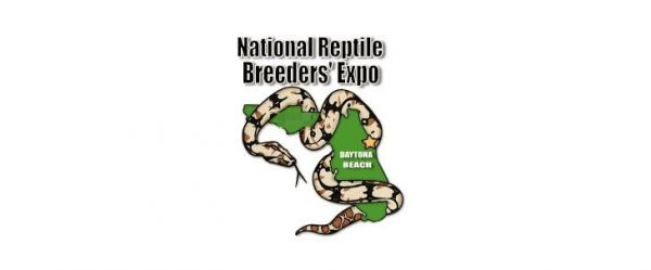 美国国家爬行宠物展览会 | National Reptile Breeders Expo