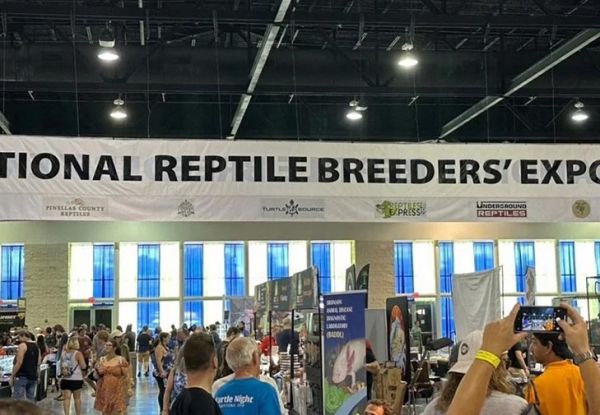 美国国家爬行宠物展览会 | National Reptile Breeders Expo