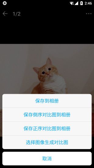 猫咪成长过程记录 v2.1.7 安卓版 2