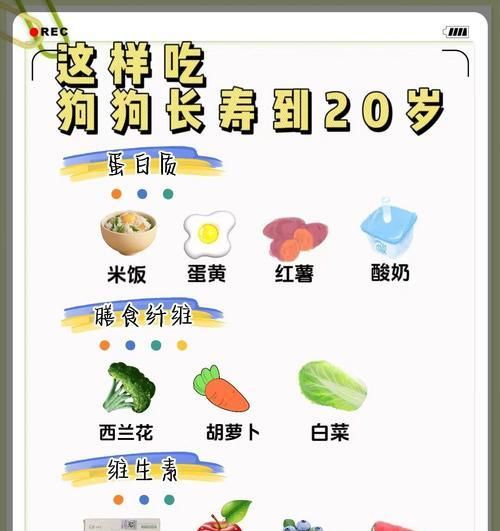 狗狗长寿的食谱（以这几种食物为主的饮食习惯，让你的爱犬更健康）
