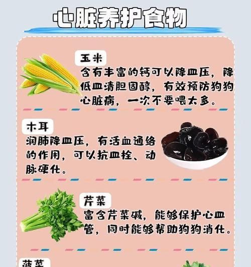 狗狗长寿的食谱（以这几种食物为主的饮食习惯，让你的爱犬更健康）