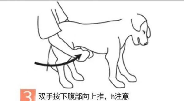 家庭小妙招（急救措施和专业处理方法一起给你）