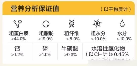 猫粮购买指南：国产优质猫粮品牌大盘点之「网易严选」-有驾