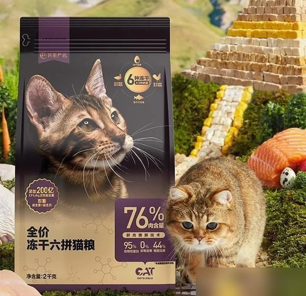 猫粮购买指南：国产优质猫粮品牌大盘点之「网易严选」-有驾