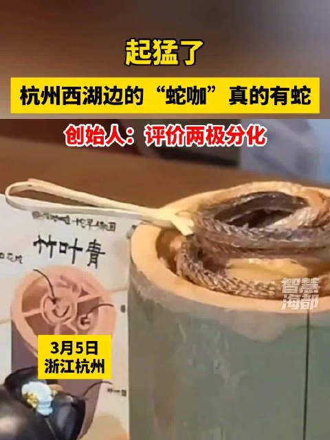 杭州一咖啡店上线蛇咖