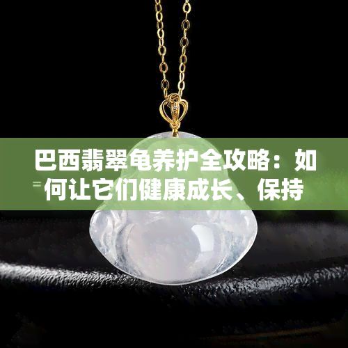 巴西翡翠龟养护全攻略：如何让它们健康成长、保持绿色？