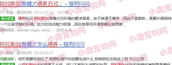 阿拉斯加的喂养方法