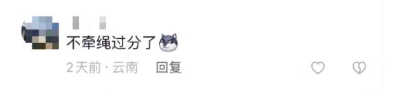 掌上春城微信